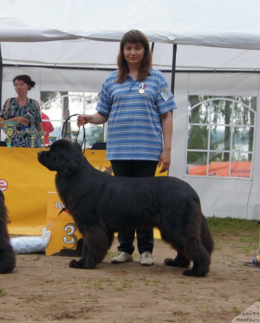 Фотография № 73424