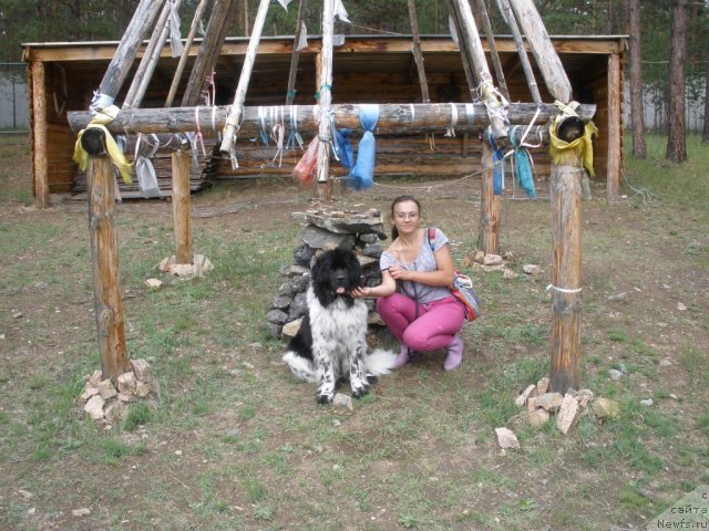 Фотография № 73426