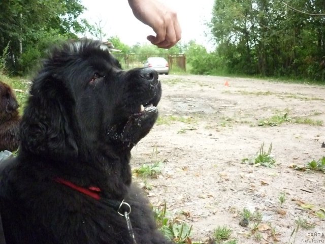 Фотография № 73428