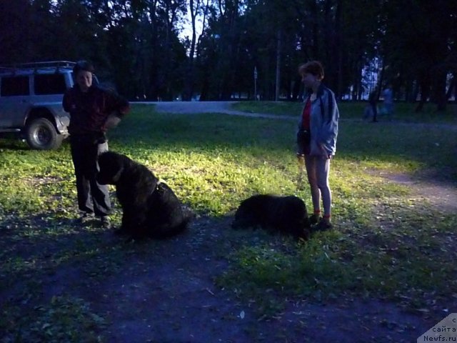 Фотография № 73433