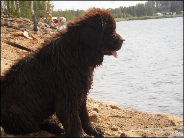 Фотография № 73434