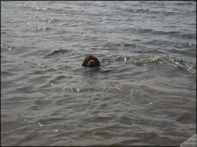 Фотография № 73436