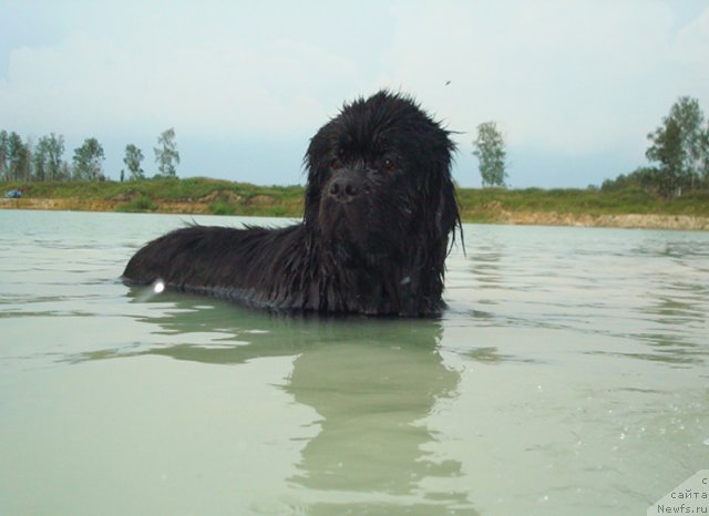 Фотография № 73460