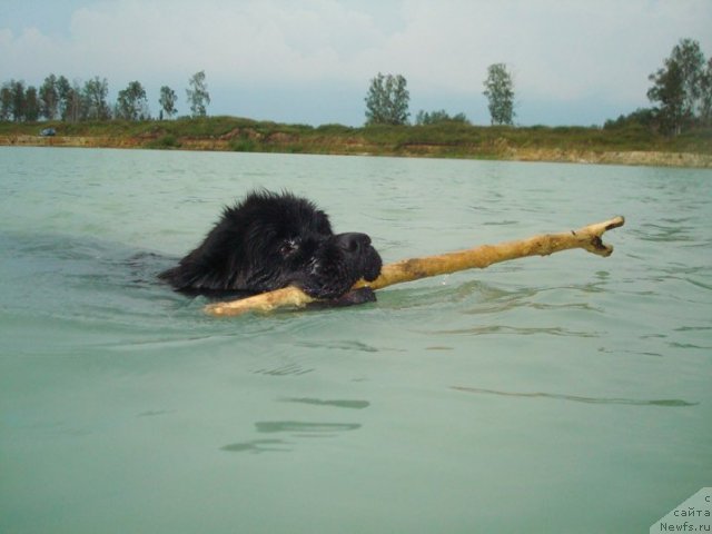 Фотография № 73461