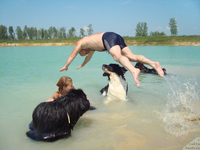 Фотография № 73462