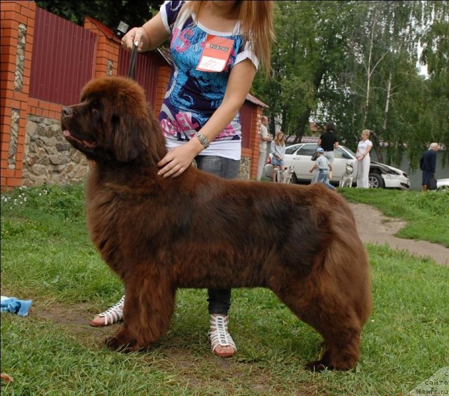 Фотография № 73468