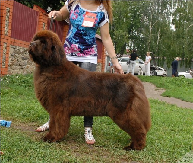 Фотография № 73469