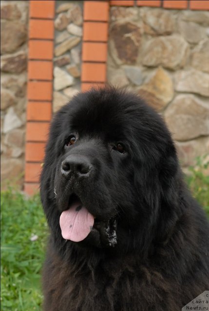 Фотография № 73483