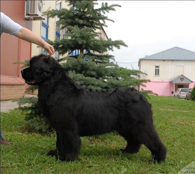 Фотография № 73488