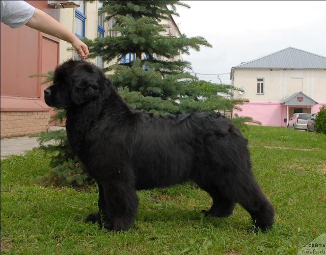 Фотография № 73489