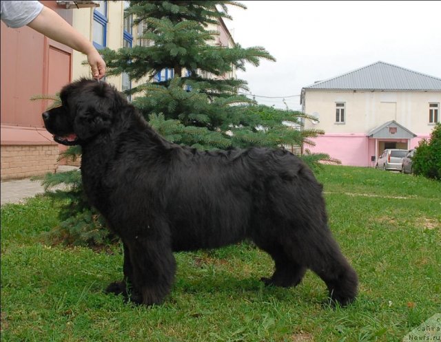 Фотография № 73490