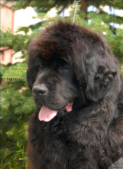 Фотография № 73495