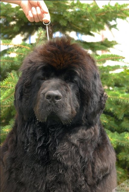 Фотография № 73496