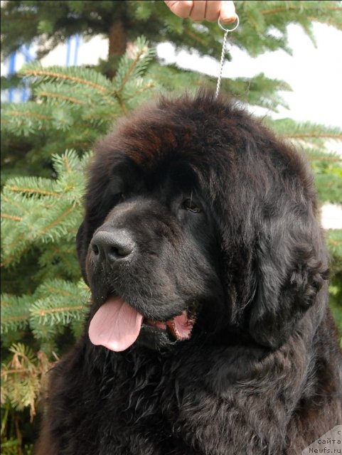 Фотография № 73501