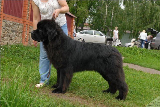 Фотография № 73505