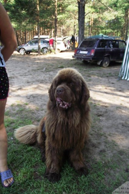 Фотография № 73521