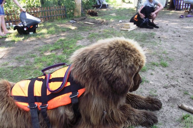 Фотография № 73522