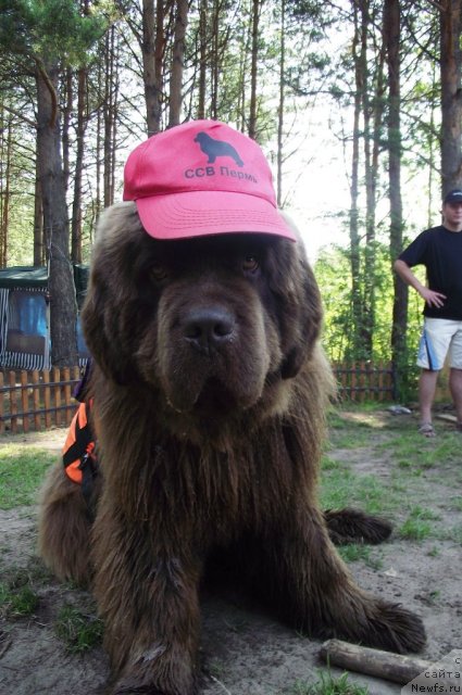 Фотография № 73523