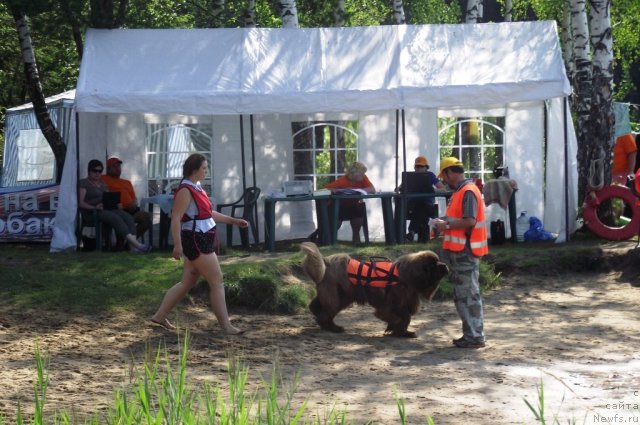 Фотография № 73524