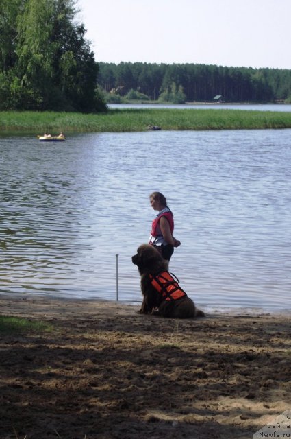 Фотография № 73526