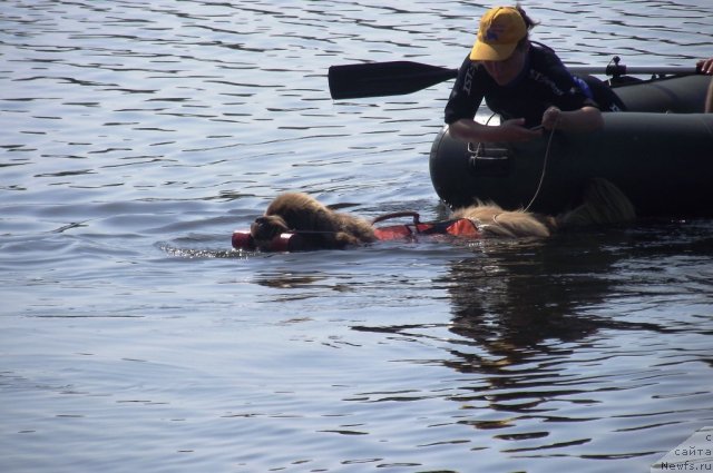 Фотография № 73527