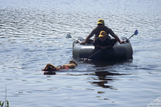 Фотография № 73528