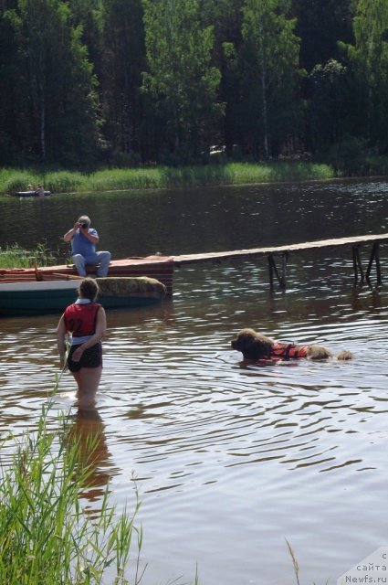 Фотография № 73529