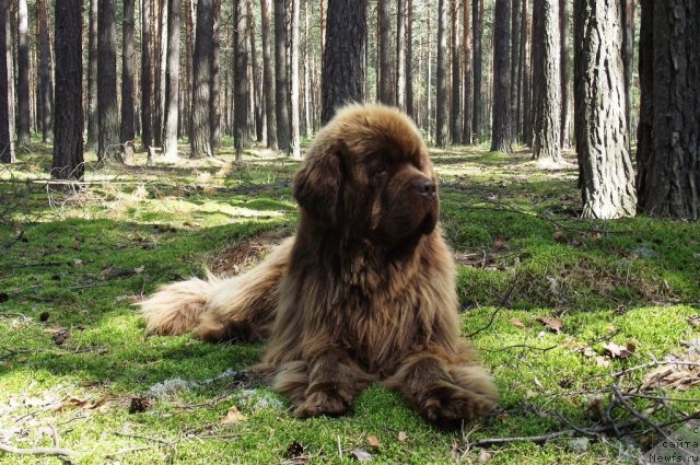 Фотография № 73531