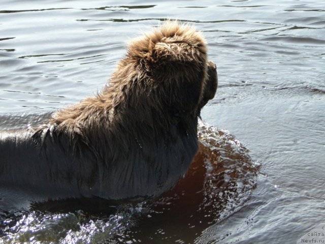 Фотография № 73538