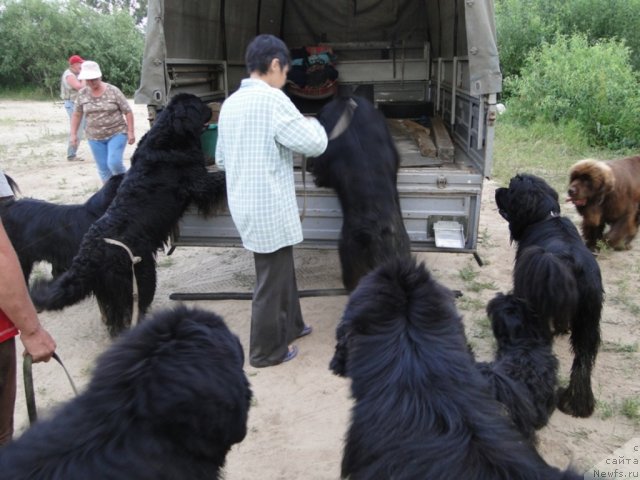 Фото: Галия Гизатуллина