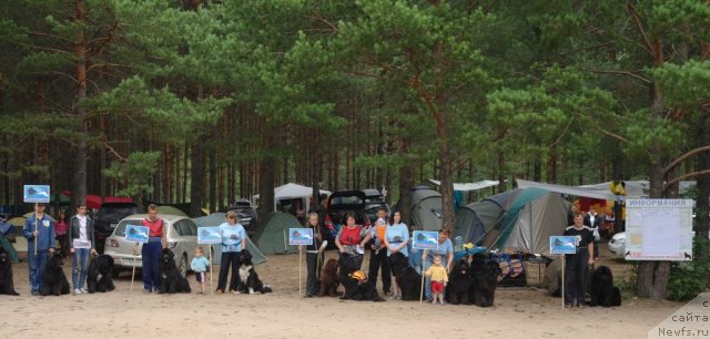 Фотография № 73544