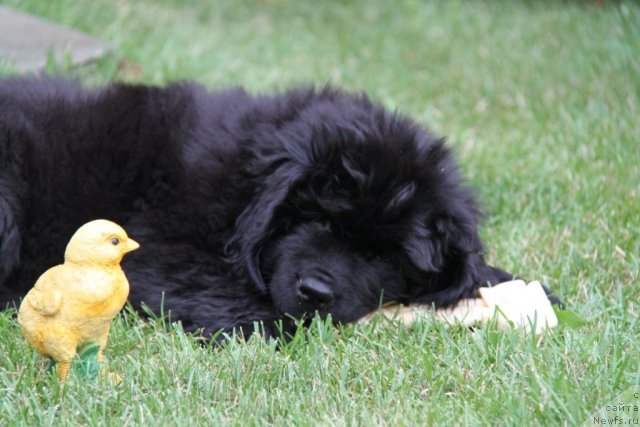 Фотография № 73745