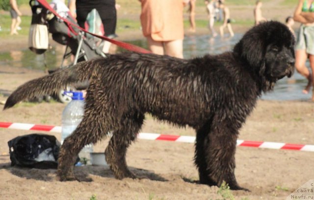 Фото: Бегущая по волнам Дабл Дэар