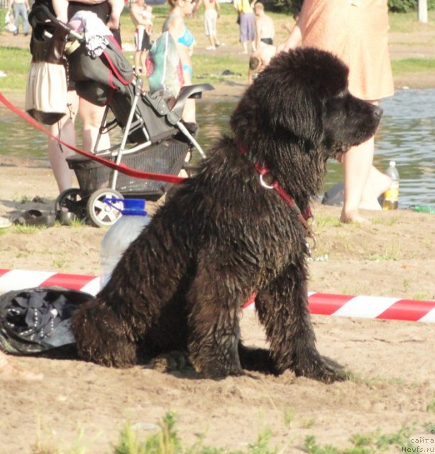 Фото: Бегущая по волнам Дабл Дэар
