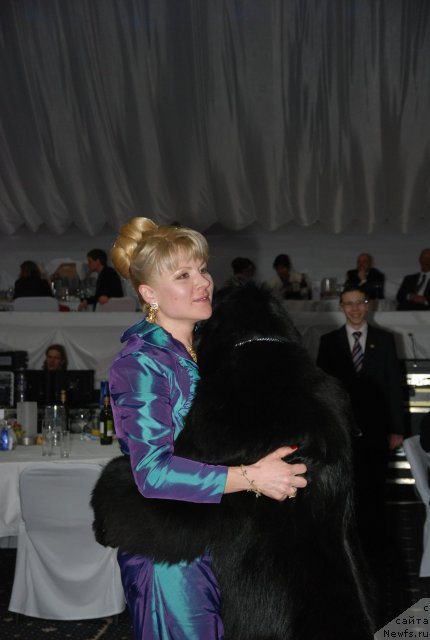 Фото: ньюфаундленд King of Helluland Feel The Win