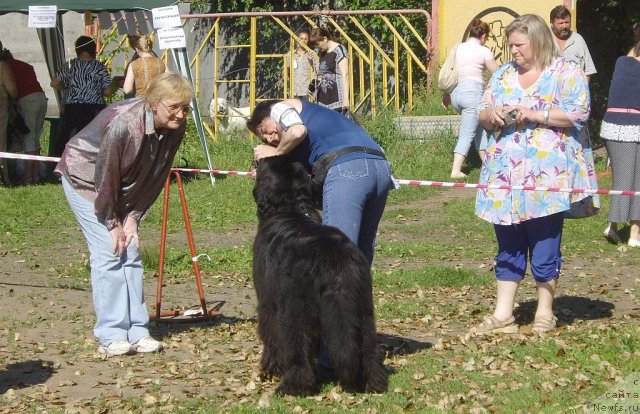 Фотография № 73784