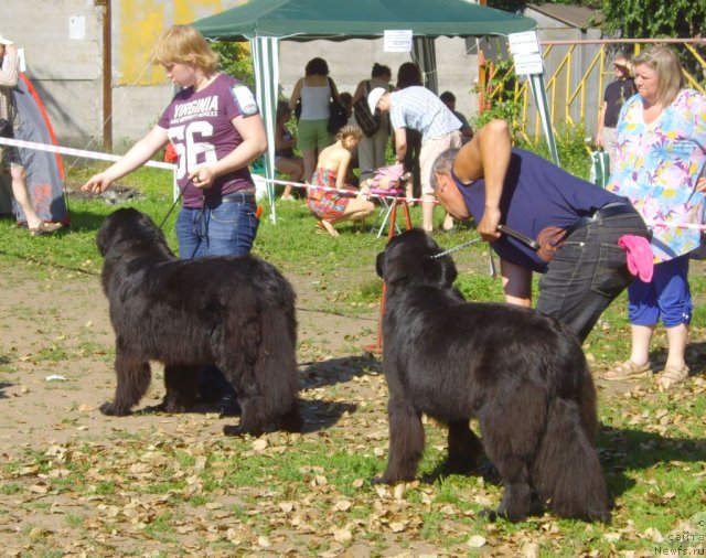 Фотография № 73803