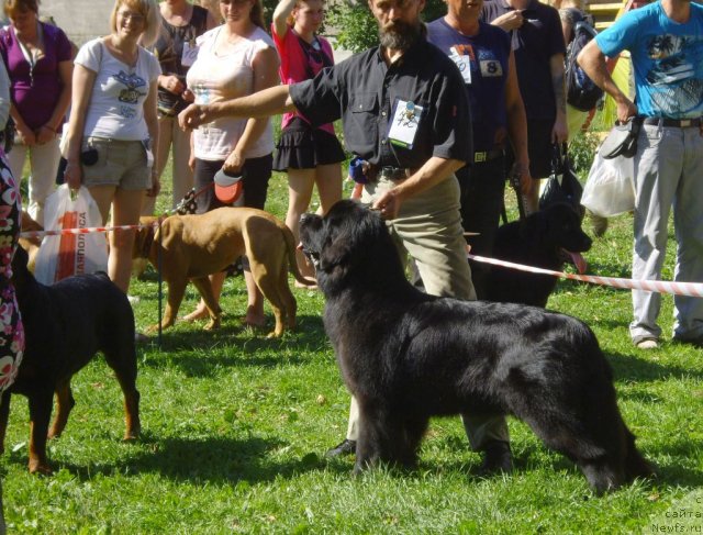 Фотография № 73804