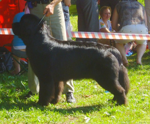 Фотография № 73806