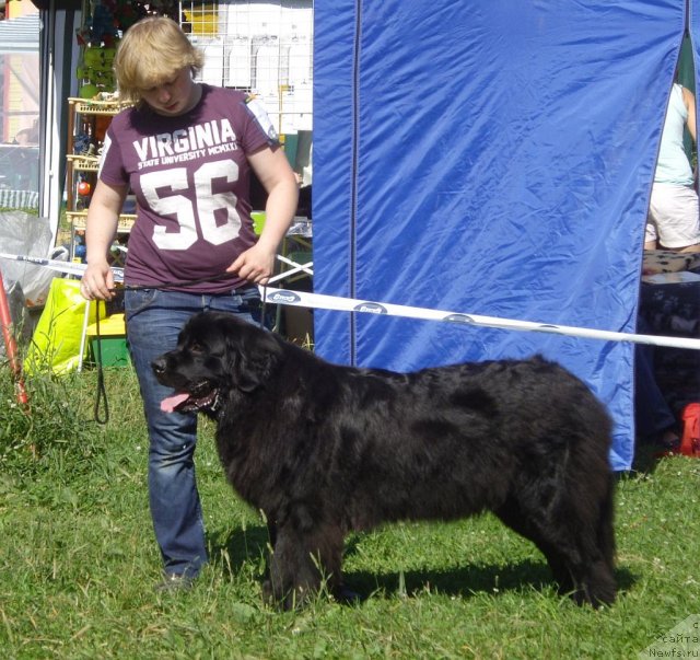 Фотография № 73808