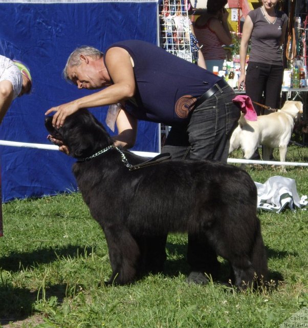 Фотография № 73809