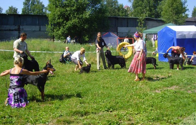 Фотография № 73810