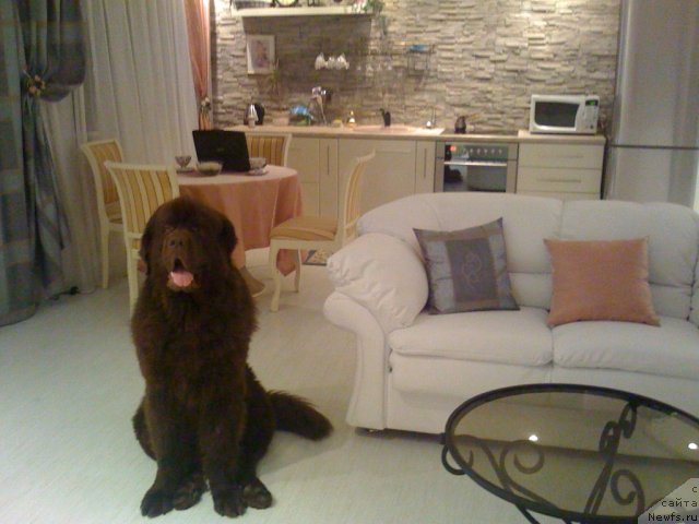 Фотография № 73829