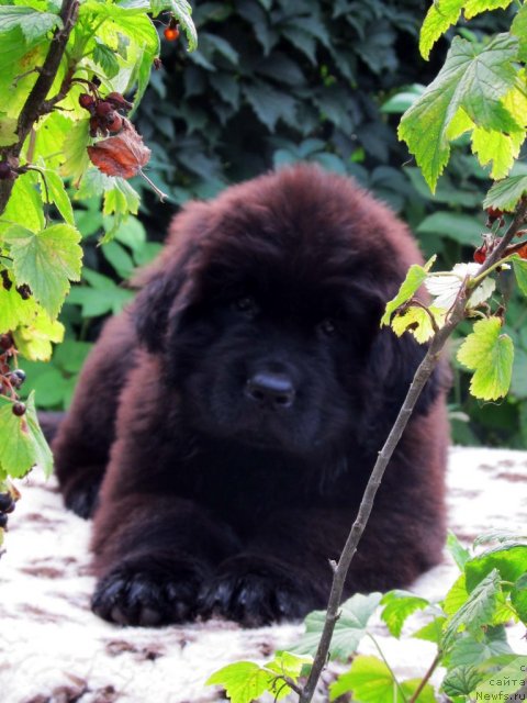 Фотография № 73858