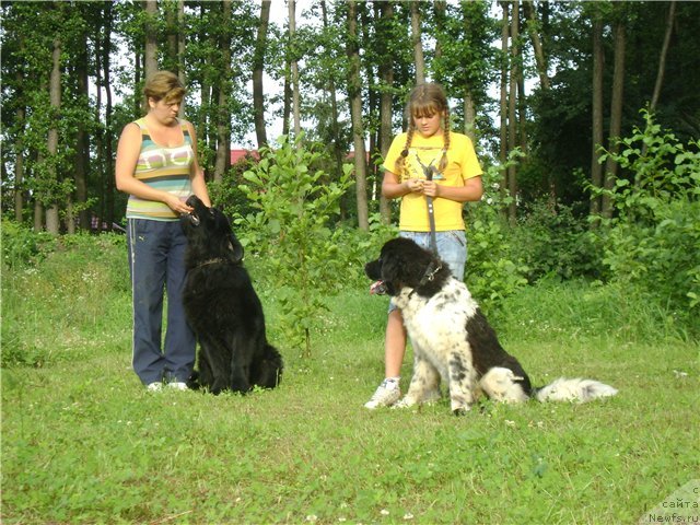 Фото: Елена Муха