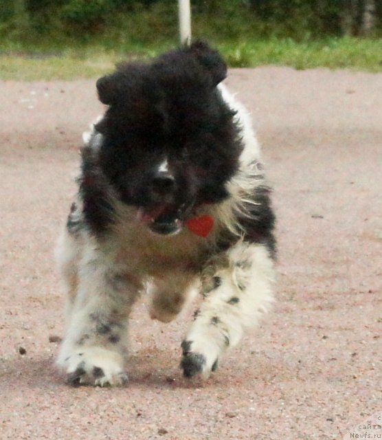 Фотография № 73922