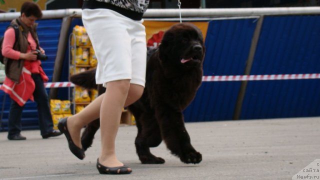 Фотография № 73952