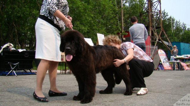 Фотография № 73953