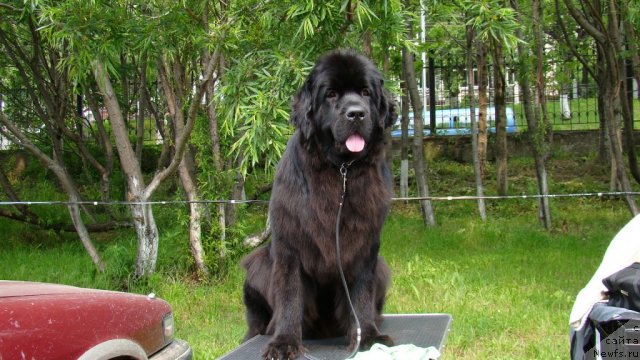 Фотография № 73956