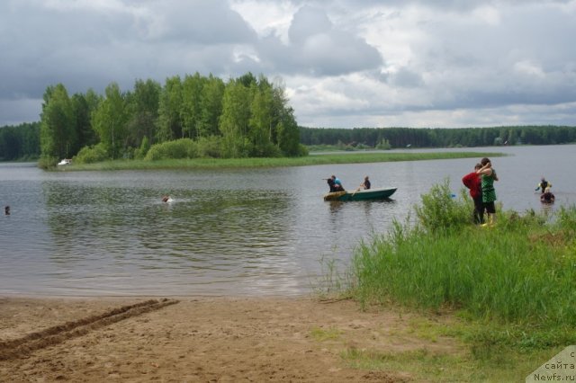 Фотография № 73973